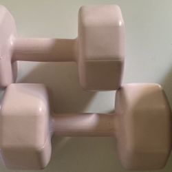 Pink Weights, 10lbs each