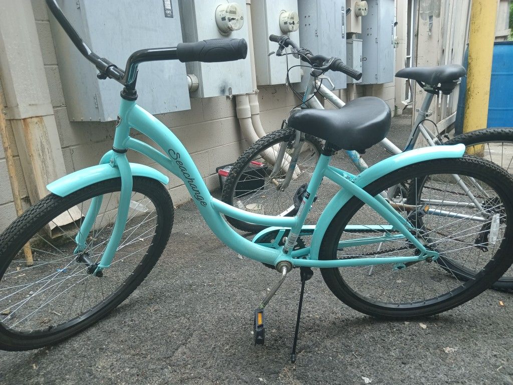 Beach Cruiser 