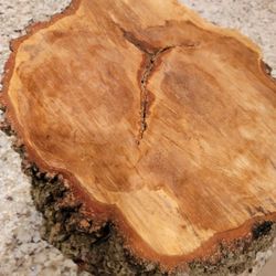 Rustic Cake