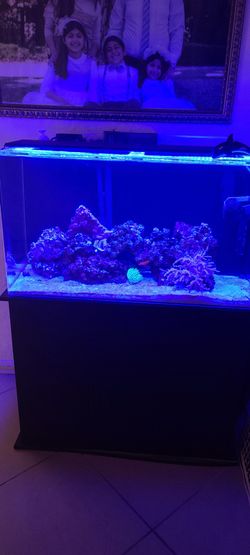 Aquatic , 50 Gallon, Wood Aquarium Stand, Made in The USA