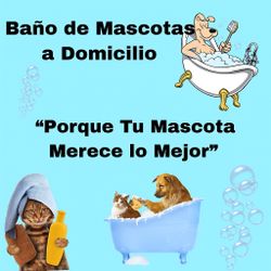 Baño 🛁 Mascotas A Domicilio 