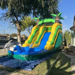 Summer Fun