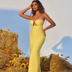 Mew Mews Gwyn Shell Cutout Maxi Bandage Dress In Yellow