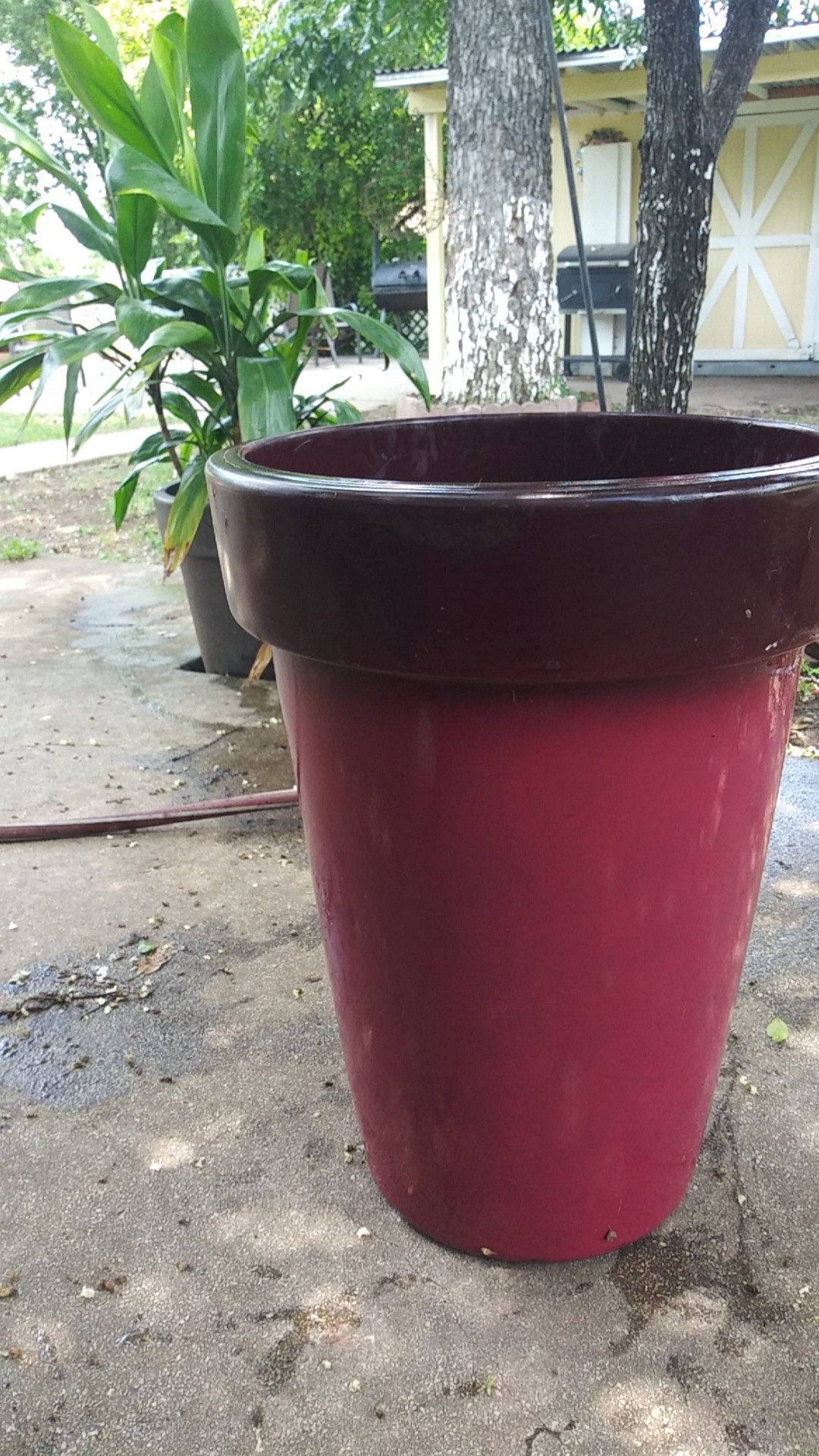 Red ombre flower pot