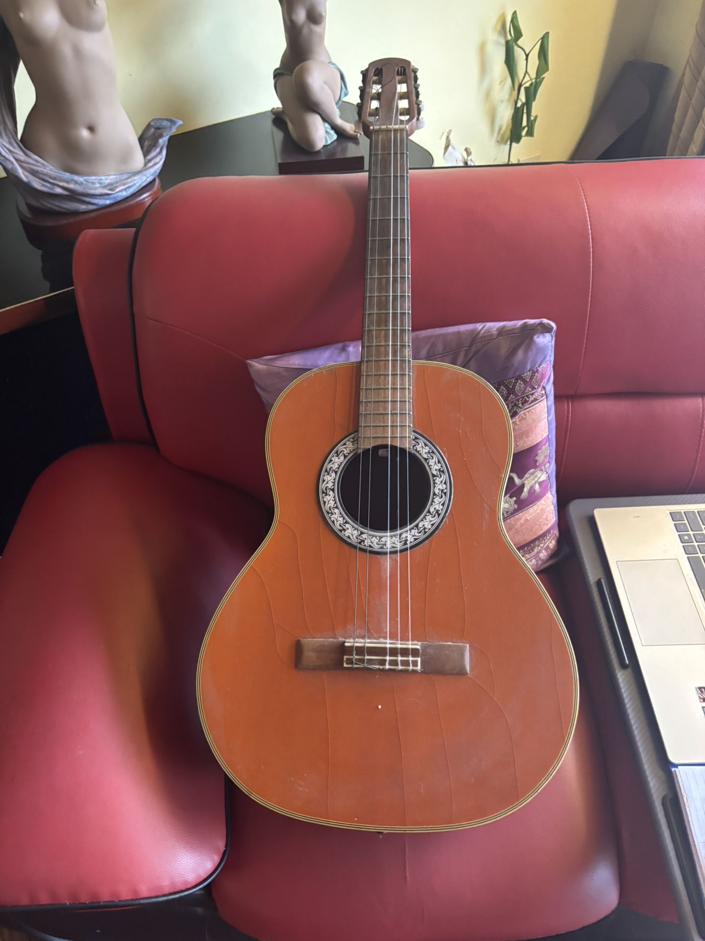 Celebrity elect guitar