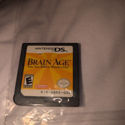 Nintendo Ds Game