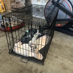 Crate For a Small Or Medium Dog 
