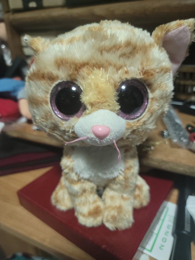 Ty Beanie Boo Tabitha Cat Beanie Boos Tabitha Clearance