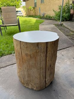 Rustic real tree table
