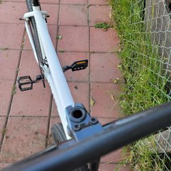 Bike 29