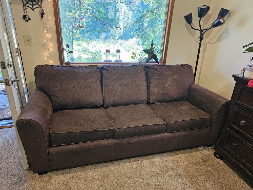 Couch with Queen Pull Out Bed