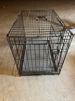 Kennel