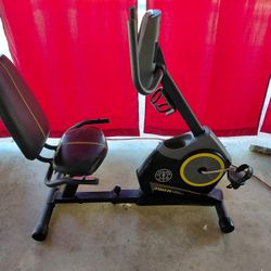 Golds Gym Exercise Bike 390R
