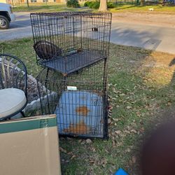 Dog Crates 