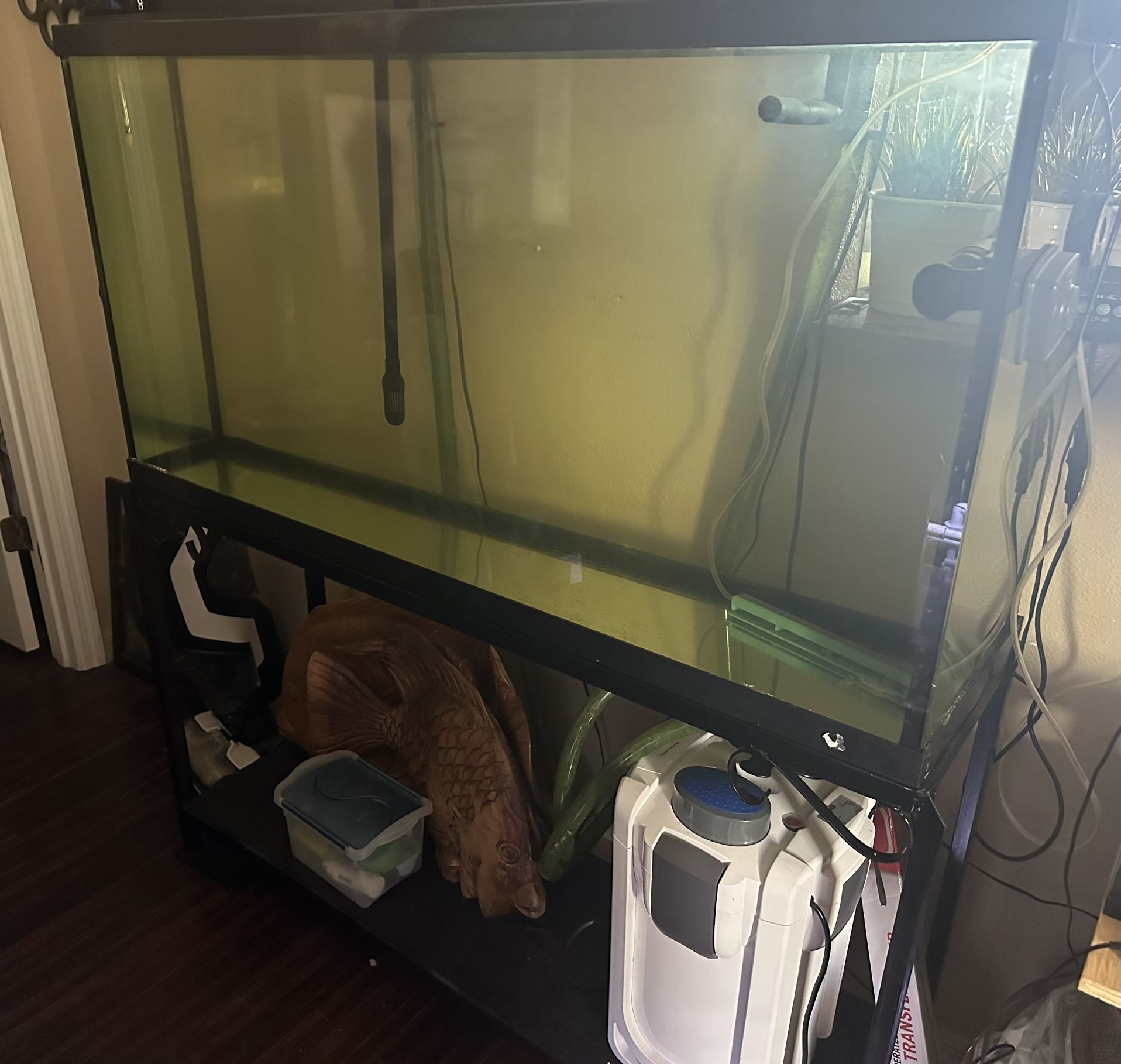 90 Gallon fish aquarium with extras