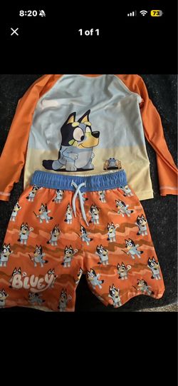 Bluey Swim Set