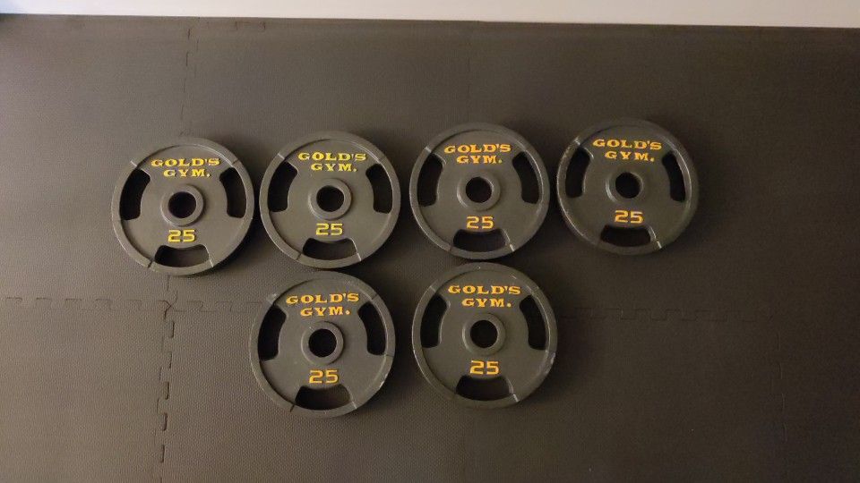 Golds gym dumbbell plates new arrivals