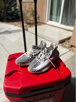Zebra YEEZYS