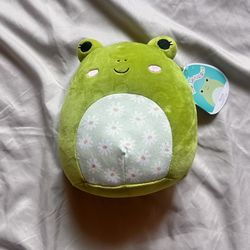 Wendy Frog Squishmallow Plushie