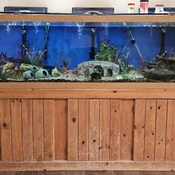 120 Gallon Fishtank