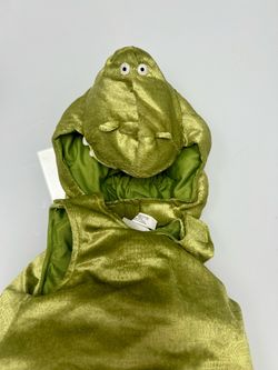Disney Green Dinosaur/Frog Kids Halloween Costume