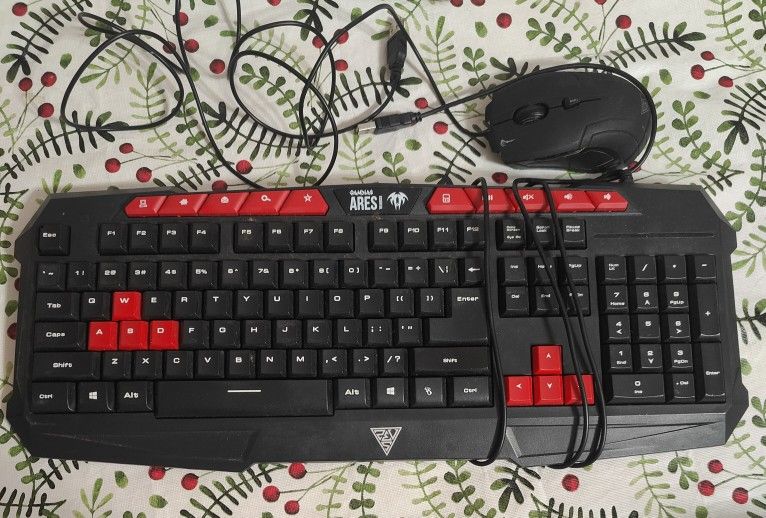 Gaming Keyboard And Mouse (Wired)