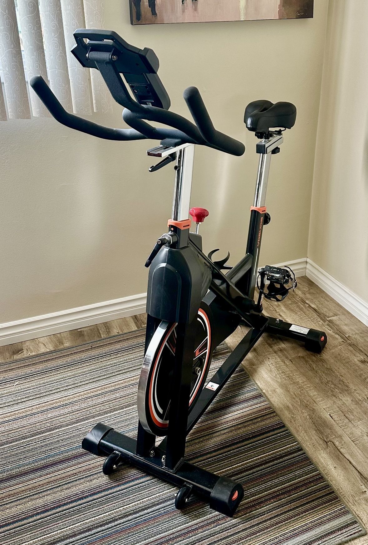 Stationary Exercise Bicycle