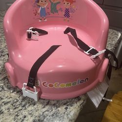 Booster Seat New