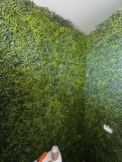 Boxwood panels