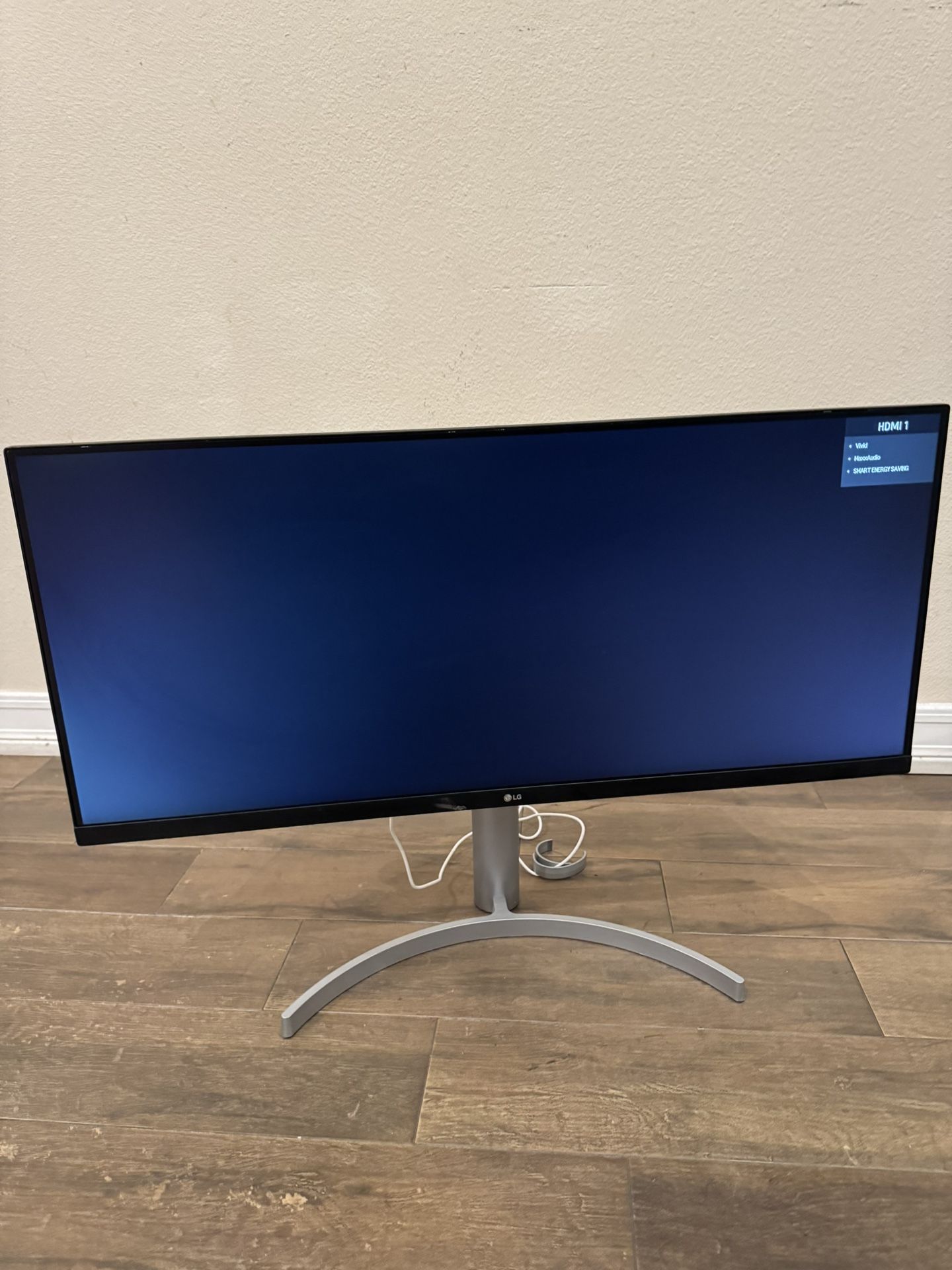 LG 34” UltraWide Monitor