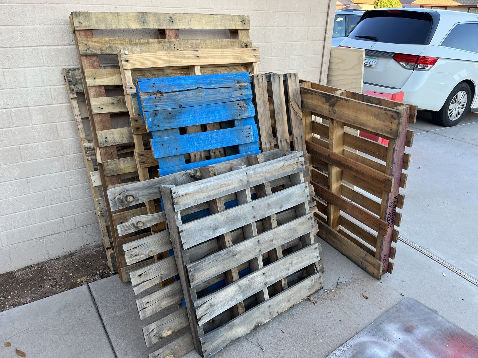 OAK Pallets - 8 Total