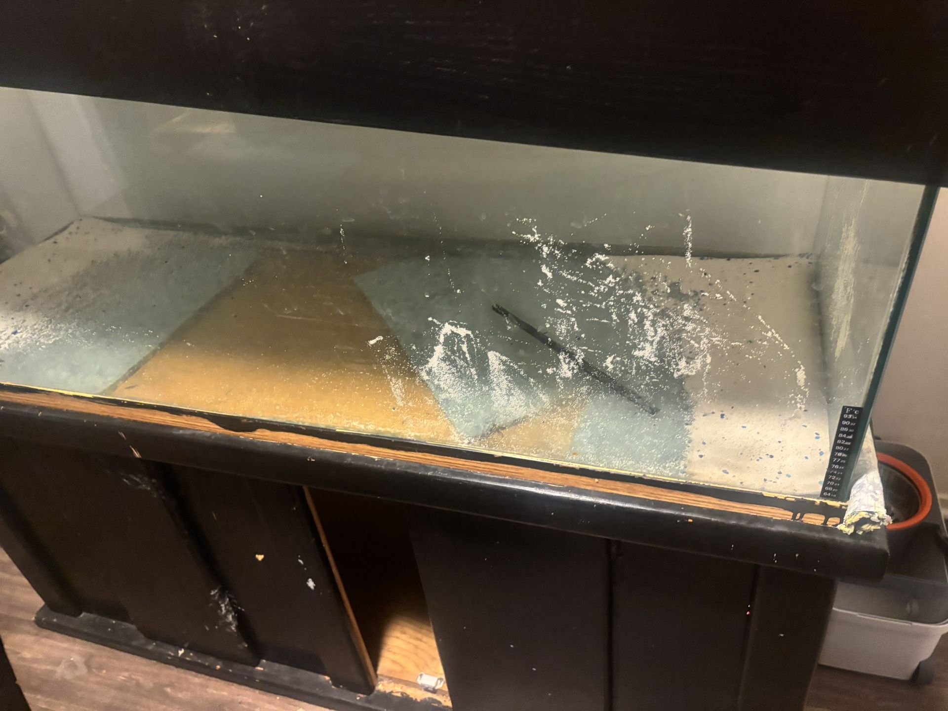 Fish Tank For Sale