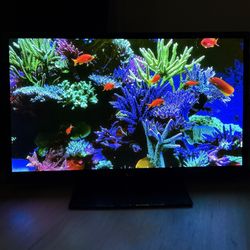 60” LG plasma TV