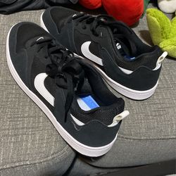 Nike Sb