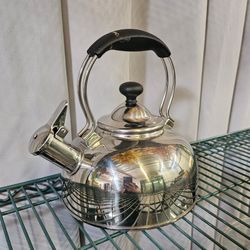 Stainless Steel Whistling Tea Kettle