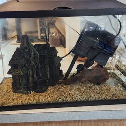 10 Gal Aquarium 