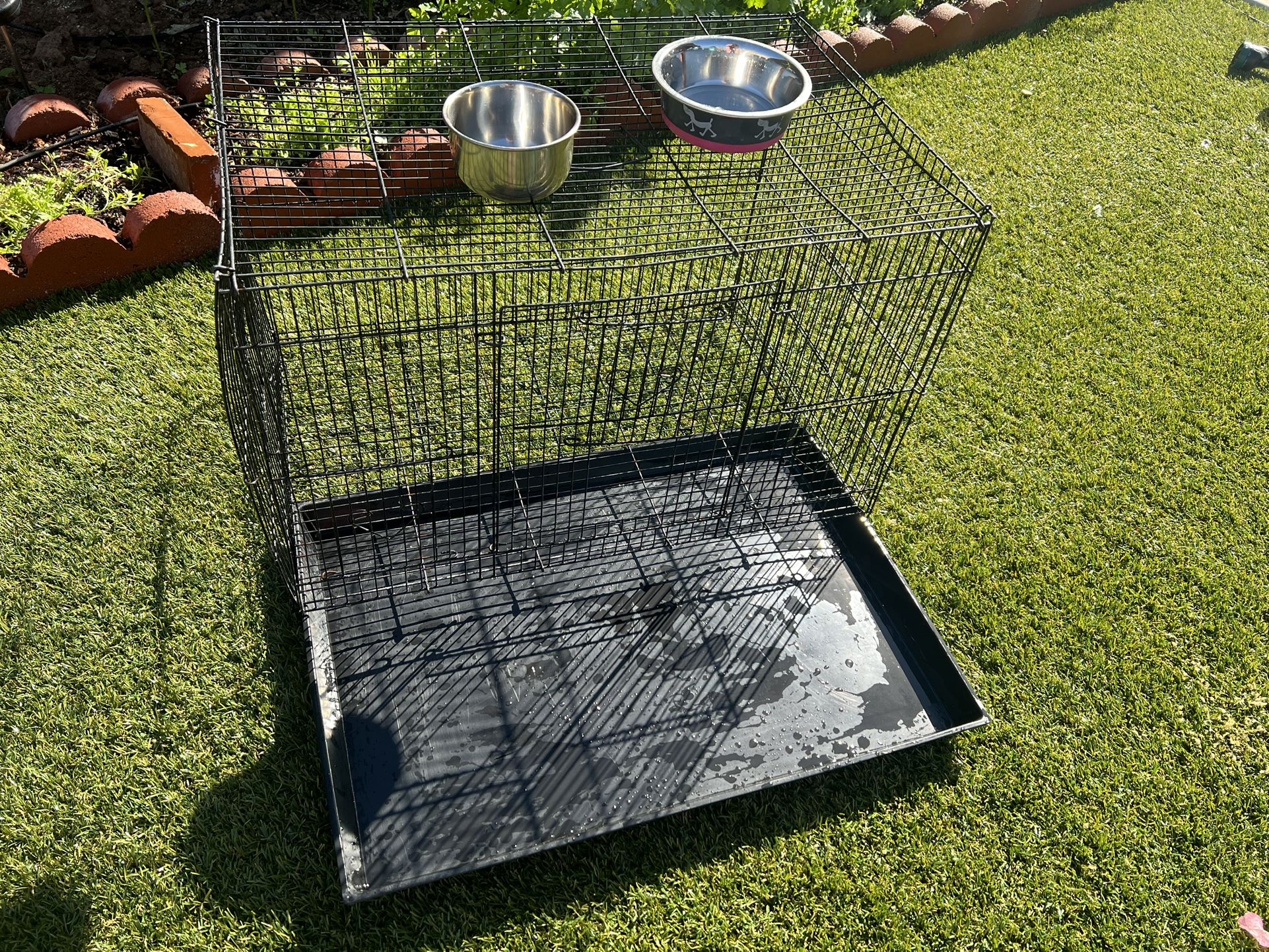 bird cage