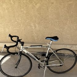 Schwinn Varsity 14 Speed Bicycle 