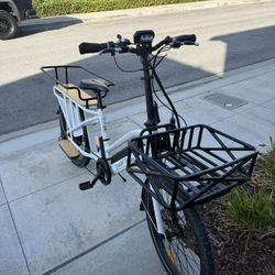 Coastal Cruiser Cargo Ebike
