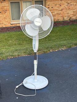 Fan