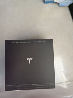 Tesla Paint Repair Kit