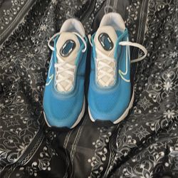 Nike Air Max running shoe