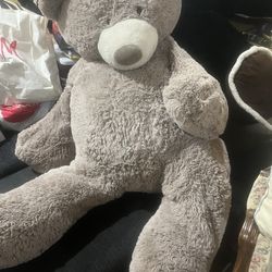 Stuffed Teddy Bear 