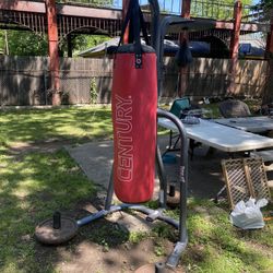 Punching Bag / Speed Bag