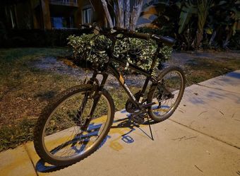 Roadmaster Mountain Bike