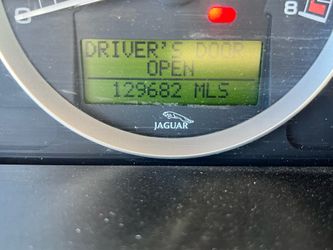 Jaguar for sale