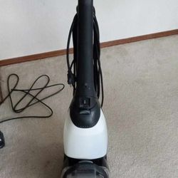 Regina Steemer Carpet Cleaner