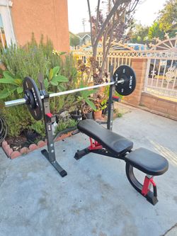 Olympic Weight Bench Press Station