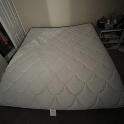 Cushion Gel for Sale in Tempe, AZ - OfferUp