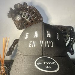 ALEJANDRO SANZ EN VIVO HAT